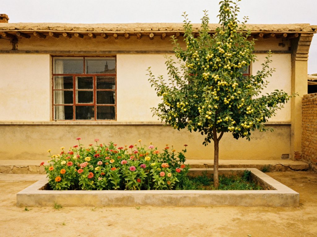 《好时光悄悄溜走》：在文字里打捞逝去的时光