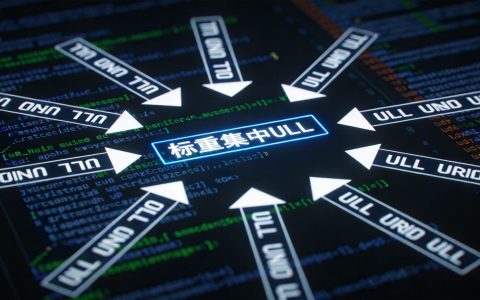 网站怎么做Canonical标签？解决重复内容导致的SEO权重分散问题