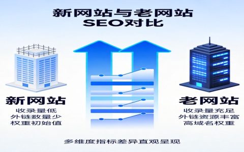 新网站SEO和老网站SEO有什么区别？不同阶段网站的优化重点与策略差异